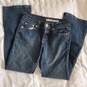 DKNY Soho Jeans Petites